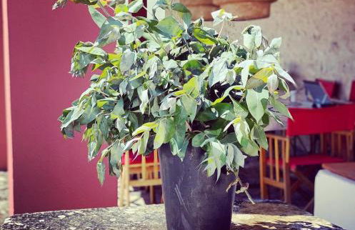 Casa da Mata - Foto 40