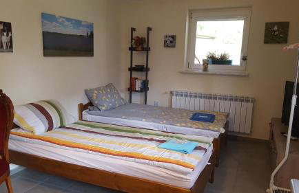 Alpaka-Ranczo AFF - Foto 67