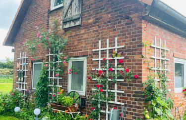 Heide-Huus Landliebe - Foto 1