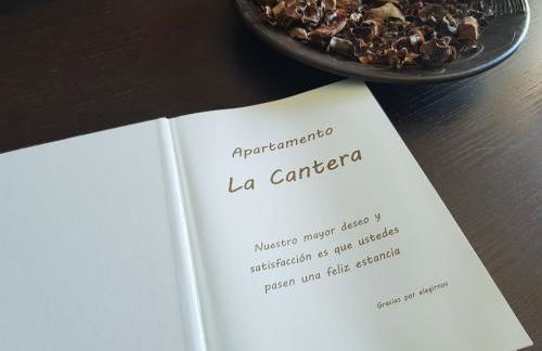 Apartamento La Cantera - Foto 15