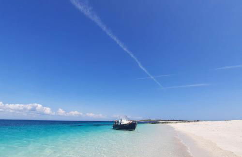 Les jardins de Beg Meil - Foto 38