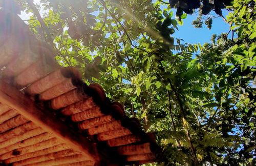 CHaLéS GuiGó, Refugio em meio a natureza - Photo 63