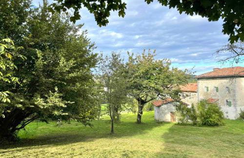 Domaine de Montfort - Foto 34