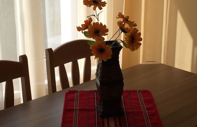 Horizont Apartments - Foto 15