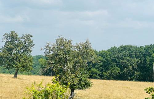 les gîtes de la côte - Foto 23