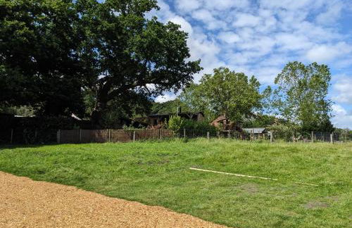 Hut in the Forest - Foto 16