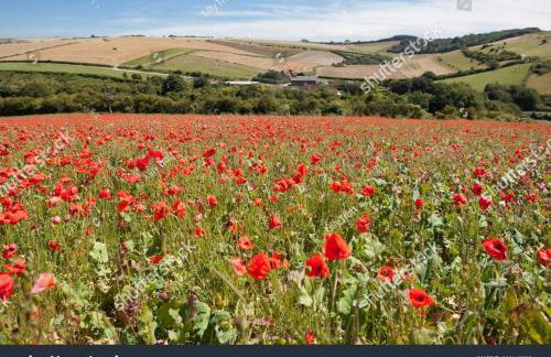 Cute Studio with kitchen, patio and free parking - Foto 14