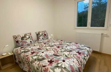 VILLA VUE LAC -3 chambres jardin-proche du lac et du Centre-ville , 2 places parking - Foto 26