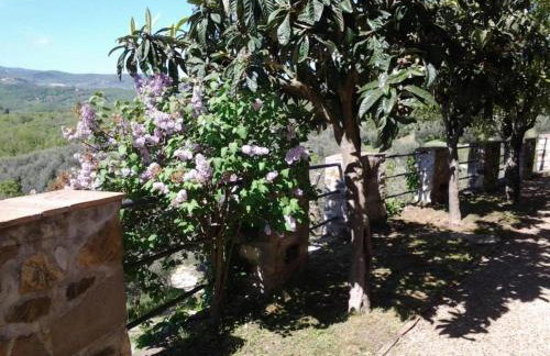 Agriturismo Fattoio alle Ripe - Photo 55