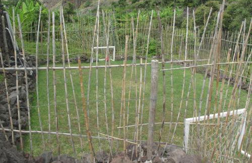 Fajã dos Padres - Foto 35