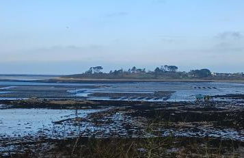 résidence des dunes - Foto 65