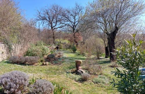 Olivo at Pietraie a cottage with many flowers in the Valley - Foto 28