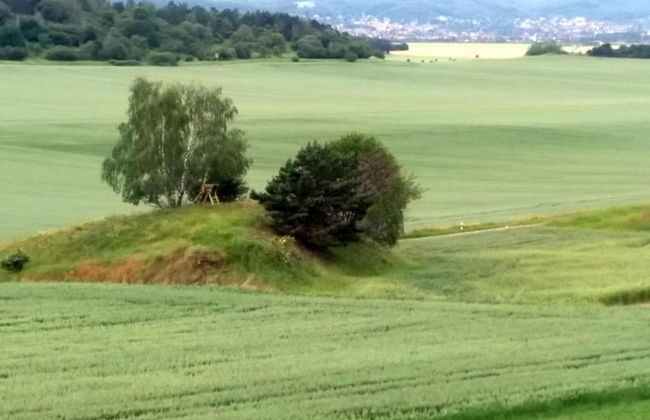 Spacious Apartment in Ballenstedt Harz near Lake - Photo 31