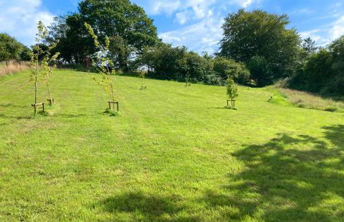 Coedmor Cottages - Foto 59