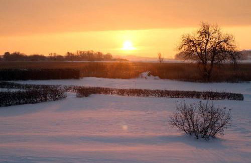 Ferienwohnung Südblick in Groß Zicker in ruhiger Lage mit Terrasse und Meerblick - Foto 21
