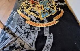 A l'ombre du chêne Piscine & Spa Gîtes Eden en Cévennes à Anduze Gard - Foto 16