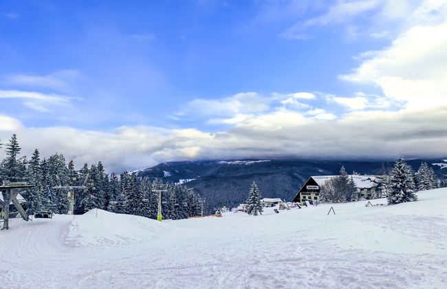 U Dvou vleků - Foto 48