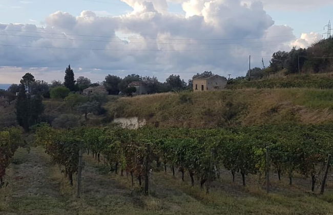 Agriturismo Modi - Foto 28