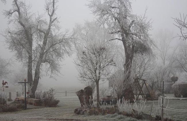 Ferienhof Fenzl - Foto 17