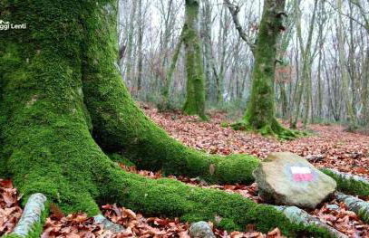La terrazza sul Borgo di Quadroni - Foto 17