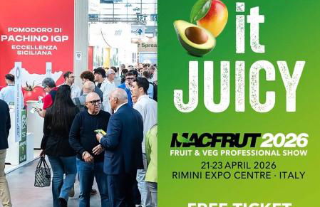 LINDA MARINA appartamento - Foto 8