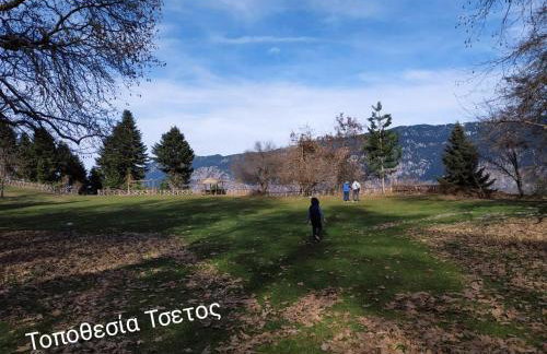 Maroulas House - Foto 25