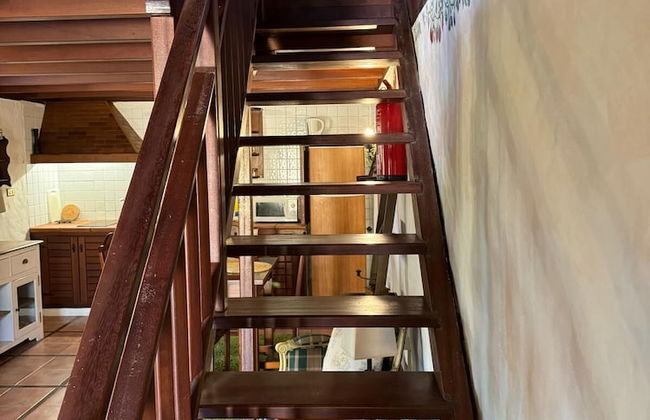 Oasis Hill Botanical Garden - Foto 9