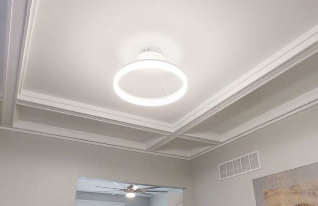 Cozy Family Home - Walk to MO Botanical Gardens - Photo 51