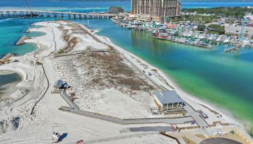 Yellow Bird - Foto 2