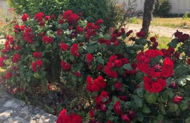 La maison de Chassiron,Jacuzzi, Climatisation, 4 chambres, Plage à 600M - Foto 38