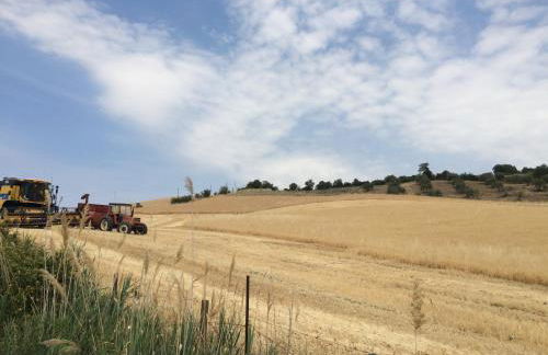 Casetta Tartuchino - Foto 45