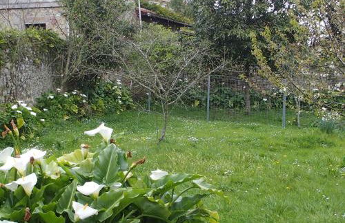 La Nogalera - Foto 26