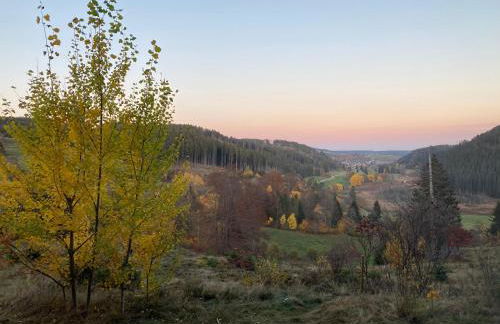 Ferienwohnung am Hirtenpfad - Foto 15