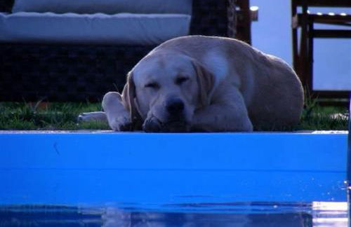 Villa with Spectacular Private SwimminPool&View, wifi - Foto 18