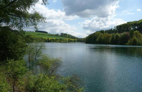 Ferienhaus Schmallenberg nahe Skibus - Foto 32