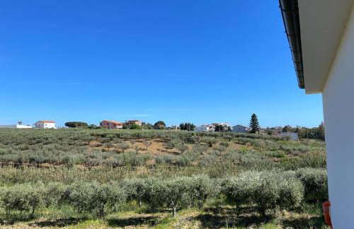 Nella valle dei templi e al mare - Foto 38