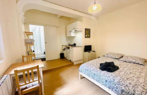 Le petit meublé hyper Centre - Foto 13