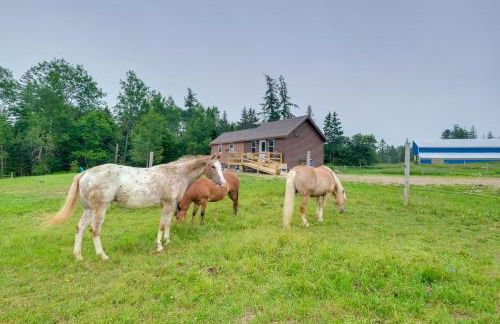 Historic Cottage on Horse Farm FirePit and BBQ - Photo 24