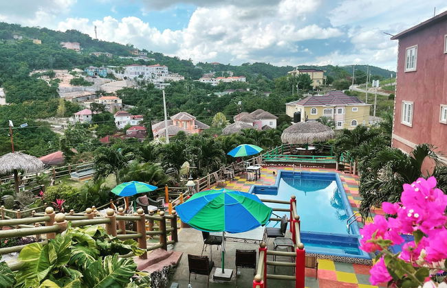 Pirate Palms - Foto 38