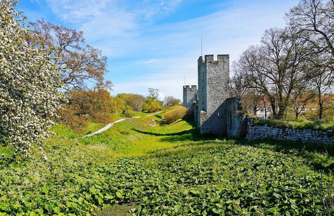 4 Star Holiday Home in Visby - Foto 2