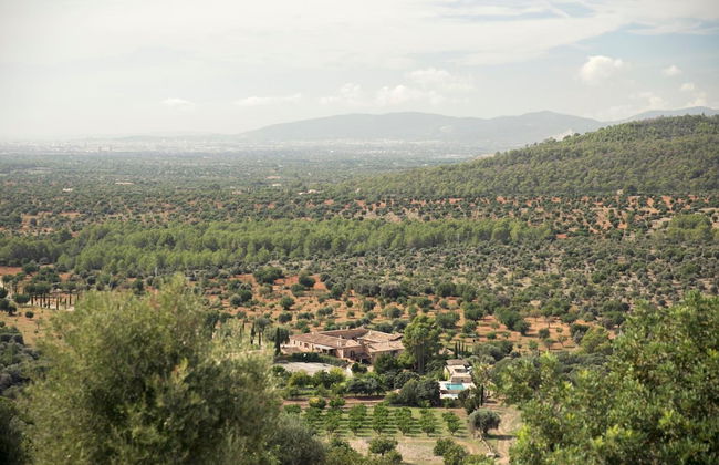 Finca Es Cabas - Photo 57