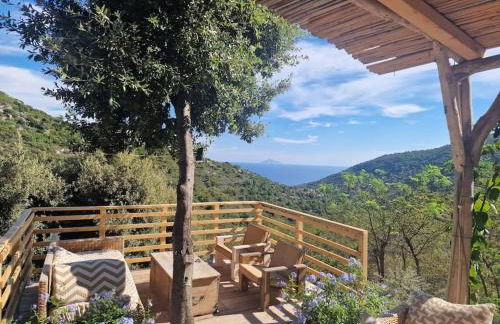 Casa nel Bosco, un oasi di pace - Foto 7