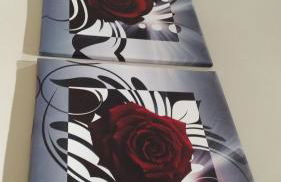 Aspra al delfino blu - Foto 63