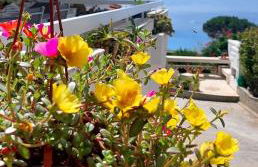 Villa Anna Maria - Foto 75