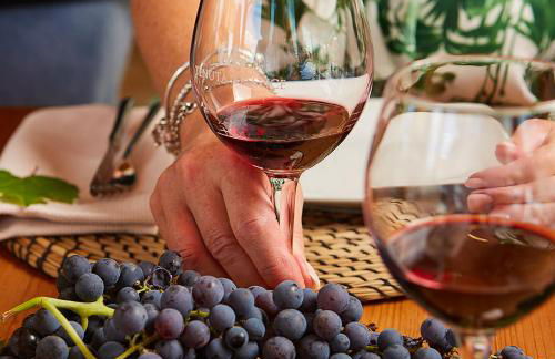 Tenuta Tralice - Foto 17