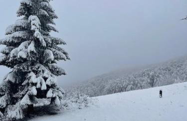 Apartments Jezerce 28 - Foto 29