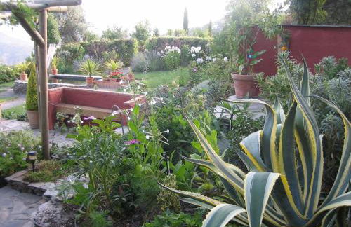 Cortijo Opazo - Foto 38