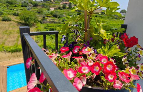 Casa da Milinha - Villa with a Pool near Rio Douro - Foto 19