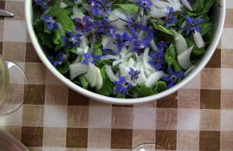 Sete Quintas - Foto 11