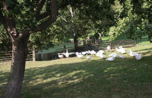 Villa DUXCAAR - Foto 48